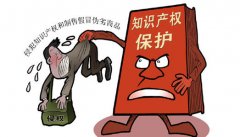 知識產(chǎn)權(quán)保護(hù)對于一個國家的意義到底在哪里？